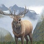 Ed Takacs, Elk in Valley, acrylic, 18 x 24.