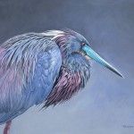 Ed Takacs, Little Blue Heron, acrylic, 16 x 20.