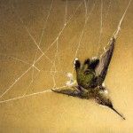 Melanie Fain, Tangled Web, watercolor, 6 x 8.