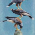 Andrew Denman, Stacked Harris Hawks, acrylic, 36 x 24.