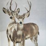 September Vhay, Deer Run Mystics, oil, 24 x 24.