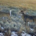 Kasey Nixon, White Tails at First Light, oil, 24 x 36.
