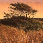 Mark Andrew Bailey, Windswept, oil, 40 x 30.