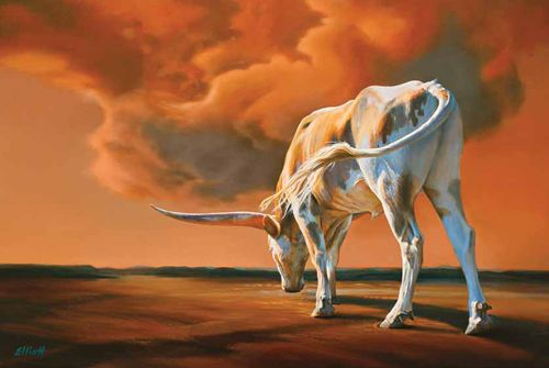 cattle paintings by teresa elliott