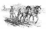 Andy Thomas, Plowing, pen/ink, 7 x 10.