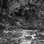 Jane K. Starks, Pot Creek, Late Summer, 2012, Nocturne, archival ink on photography paper, 41 x 27.