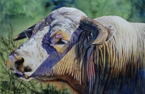 John Schooley, No Bull About It, watercolor on paper, 15 x 22.